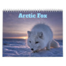 Search for arctic calendars Fox