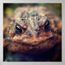 Search for will be toad posters For her