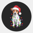 Search for pe stickers Holiday flash
