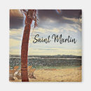 Search for martin magnets Sint maarten