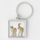 Search for studio shot key rings Togetherness