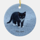 Search for tuxedo christmas tree decorations Pet