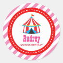 Search for pink circus birthday Party