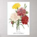 Search for carnation posters Antique
