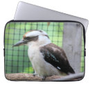 Search for australian birds electronics Cute