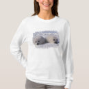 Search for phoca Fur