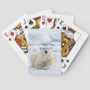 Search for adult playing cards Bear