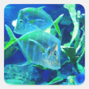 Search for tropical fish stickers Swimming