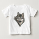 Search for grey wolves Animal