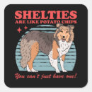 Search for sheltie dog stickers Shetland sheepdog