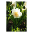 Search for celebrate spring art Cute