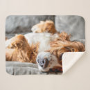 Search for cocker spaniels blankets Cute