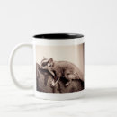 Search for exotic pet mugs Sugar glider