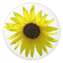 Search for sunflower knobs and pulls Flowers