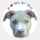 Search for pit bull dog stickers Apbt