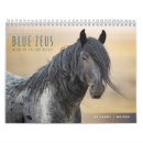 Search for horse calendars Wild horses