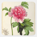Search for pierre joseph redoute stickers Flower