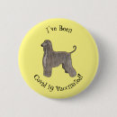 Search for hound badges Pet