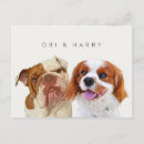 Search for pets postcards Portraits