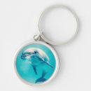 Search for bottlenose dolphin key rings Cute