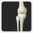 Search for human body part stickers Front view