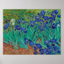 Search for iris flower gifts Purple flowers
