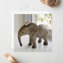 Search for africa note cards Elephants
