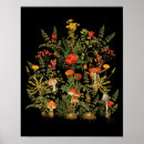 Search for vintage wildflower posters Botanical