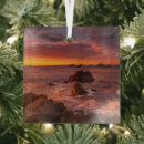 Search for sur christmas tree decorations Landscape
