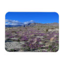 Search for spring bloom magnets Purple