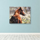 Search for equine canvas prints Brown