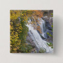 Search for river fall badges Autumn