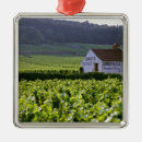 Search for grapevine christmas tree decorations France