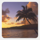 Search for kauai hawaii stickers Tropical