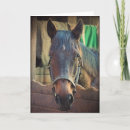 Search for stable cards Beautiful