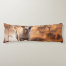Search for labrador cushions Cute