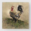 Search for vintage rooster clocks Animals
