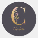 Search for initial c labels Elegant