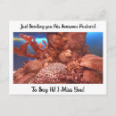 Search for stinging postcards Sting ray