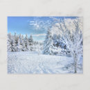 Search for snow scene postcards Wildlife