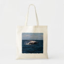 Search for breach accessories Sea