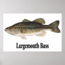 Search for largemouth posters Sport
