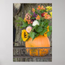 Search for vegetable posters Pumpkin