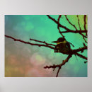 Search for kingfisher painting art Colourful