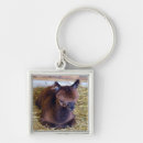 Search for alpaca key rings Animal