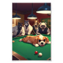 Search for pool game posters Funny