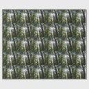 Search for sunlight wrapping paper Nature