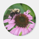 Search for bumble bees magnets Green