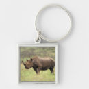 Search for rhinoceros key rings Nature