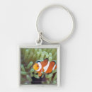 Search for high angle view key rings Animal